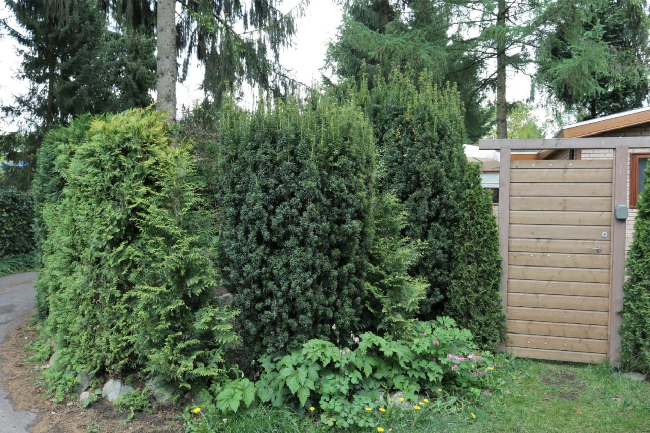 Veluwehuisje Speulderbos Villa Putten Eksteriør billede